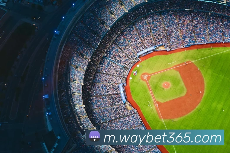 bet365平台生态图